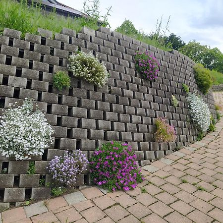 Villa Fiorita アヴィリアーナ エクステリア 写真