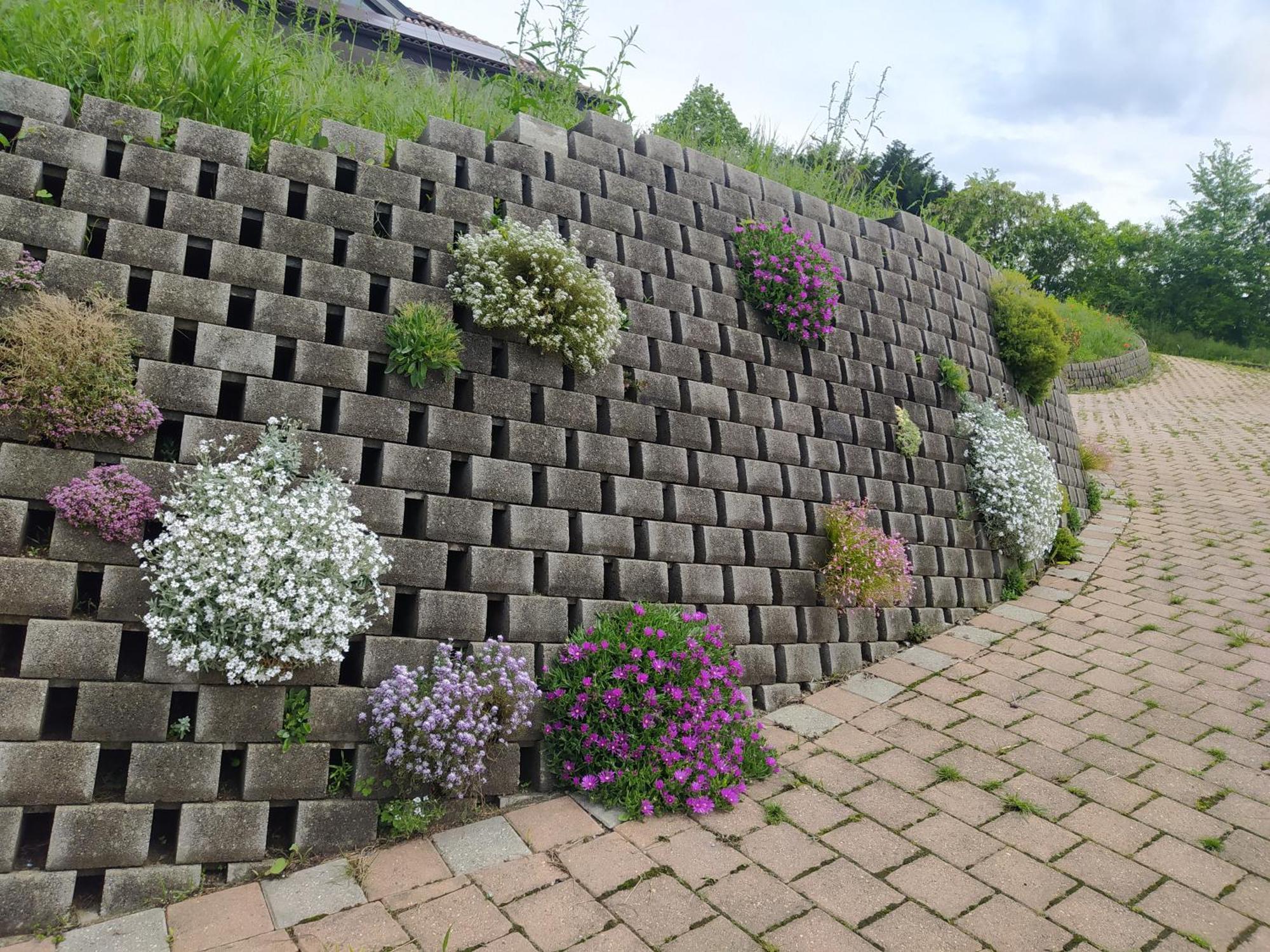 Villa Fiorita アヴィリアーナ エクステリア 写真